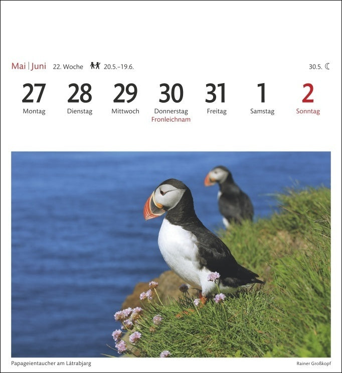 Island - Sehnsuchts-Kalender 2024 - Harenberg