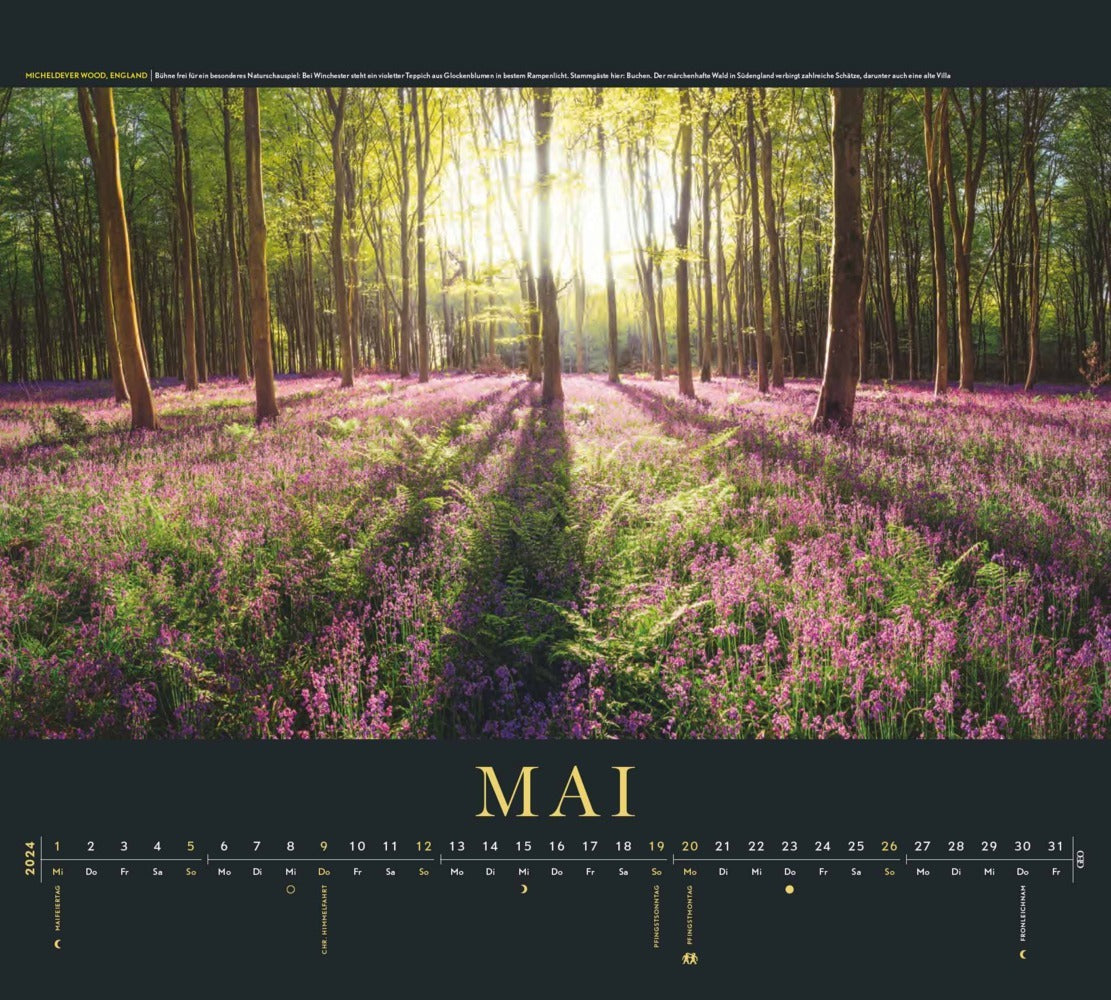 GEO SAISON Im Licht des Nordens - Wandkalender 2024 - 50 x 45 cm