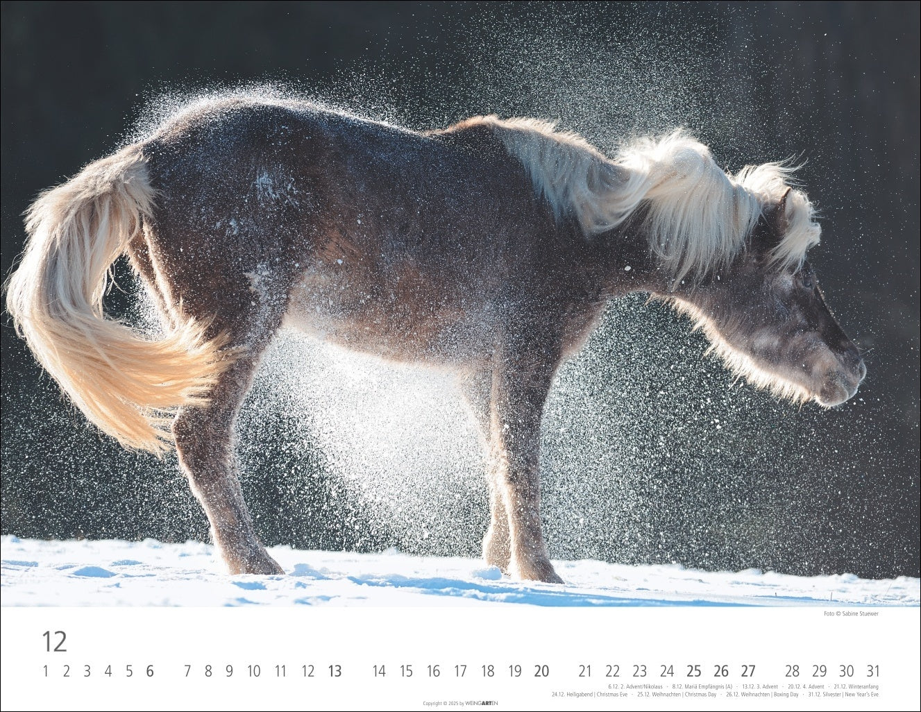 Icelandic Horses - Wall Calendar 2026 - 44 x 34 cm - Weingarten Art Publishers