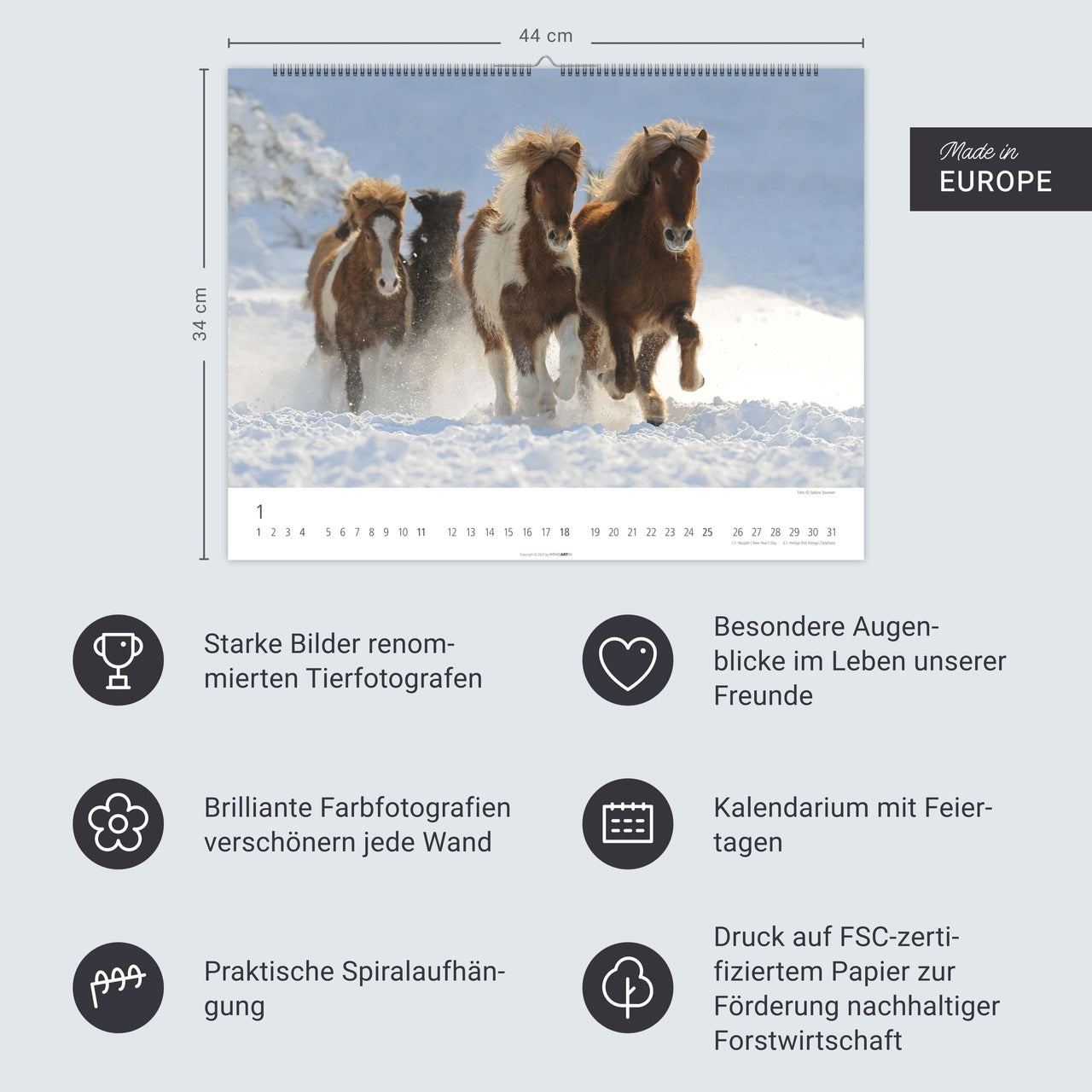Icelandic Horses - Wall Calendar 2026 - 44 x 34 cm - Weingarten Art Publishers