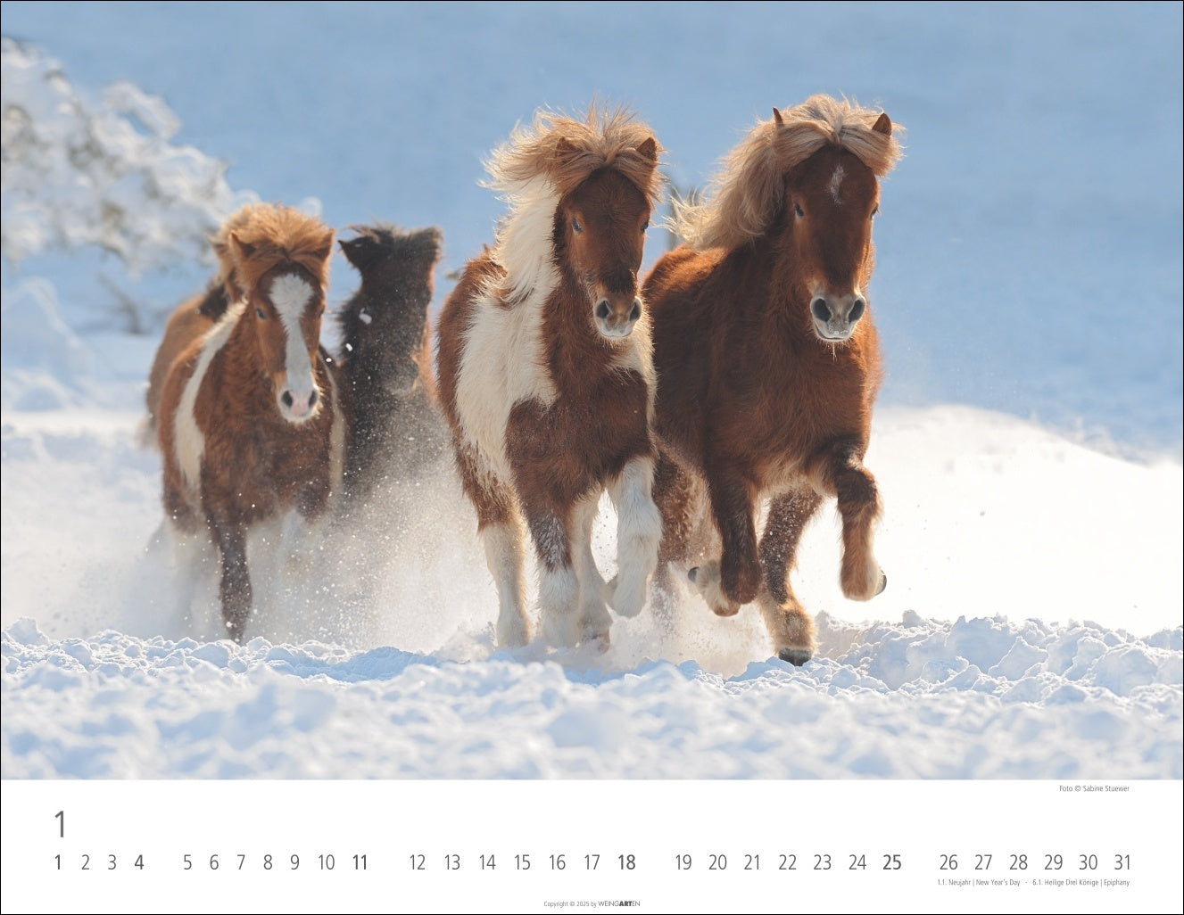 Icelandic Horses - Wall Calendar 2026 - 44 x 34 cm - Weingarten Art Publishers