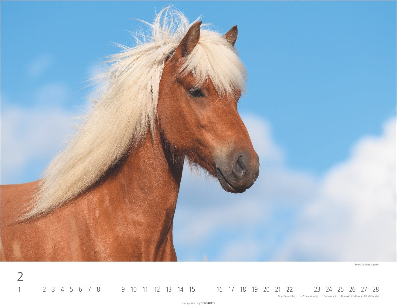 Icelandic Horses - Wall Calendar 2026 - 44 x 34 cm - Weingarten Art Publishers