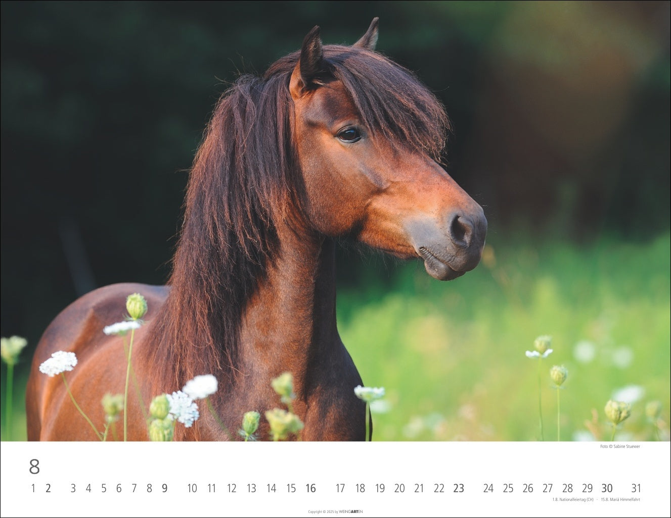 Icelandic Horses - Wall Calendar 2026 - 44 x 34 cm - Weingarten Art Publishers