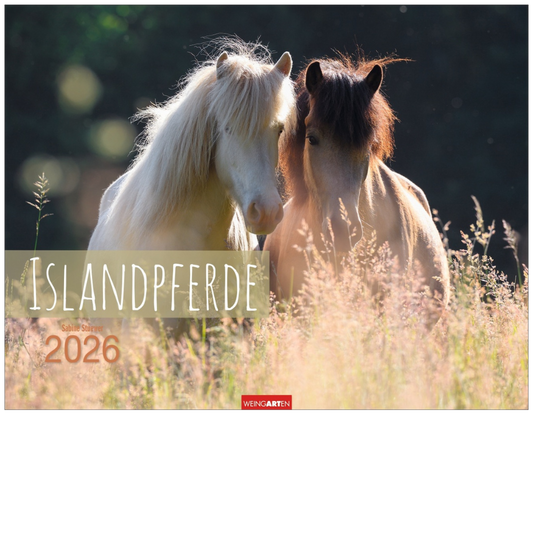 Icelandic Horses - Wall Calendar 2026 - 44 x 34 cm - Weingarten Art Publishers