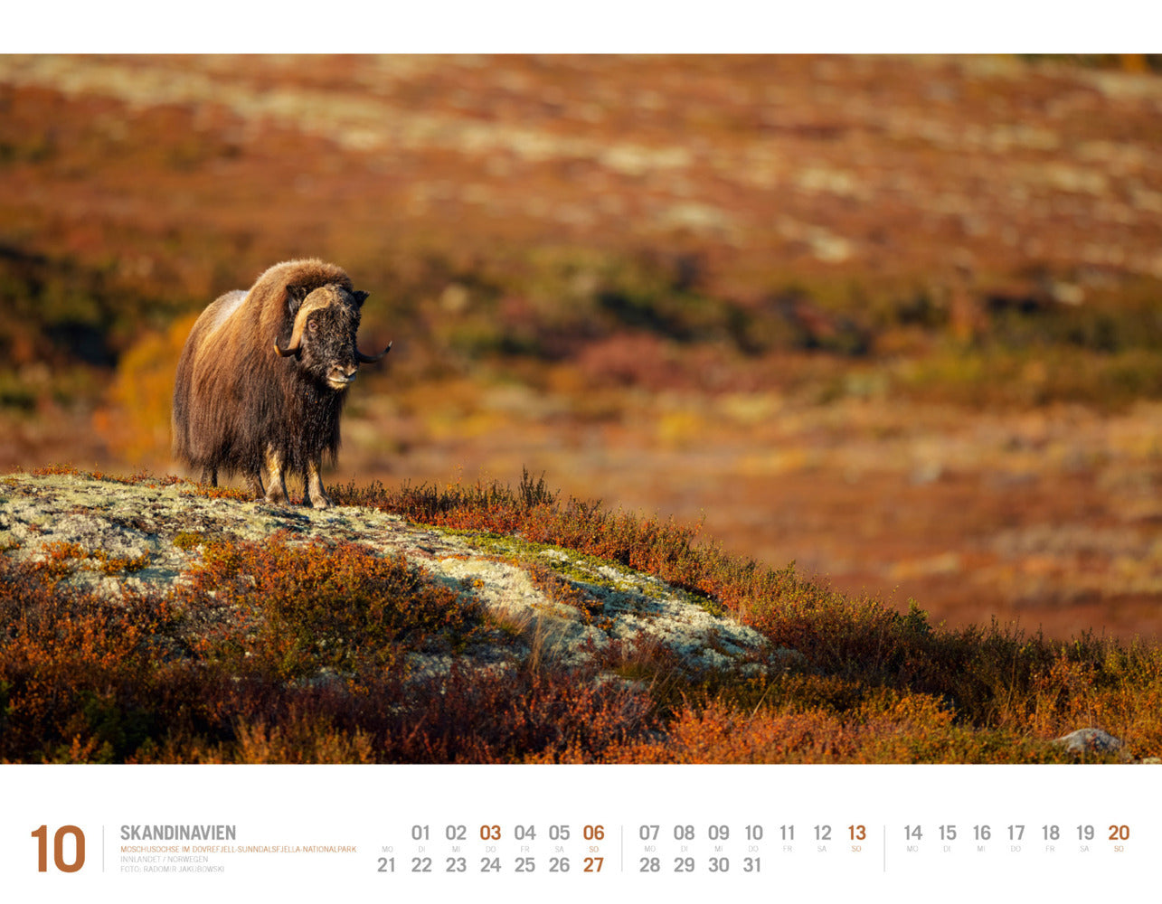 Skandinavien - Wandkalender 2024 - 54 x 42 cm - Ackermann Kunstverlag