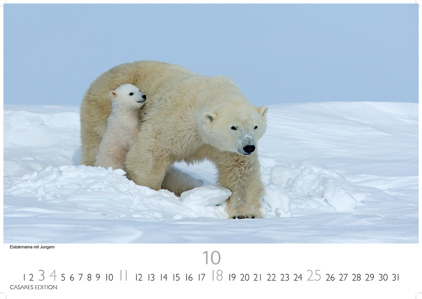 Grönland - Wandkalender 2026 - 50 x 35 cm - CASARES fine art EDITION