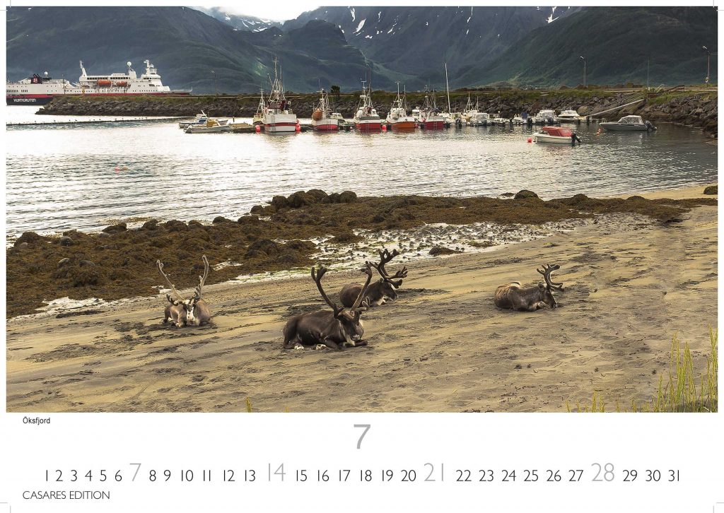 Hurtigruten - Wandkalender 2024 - 50 x 35 cm - CASARES fine art EDITION