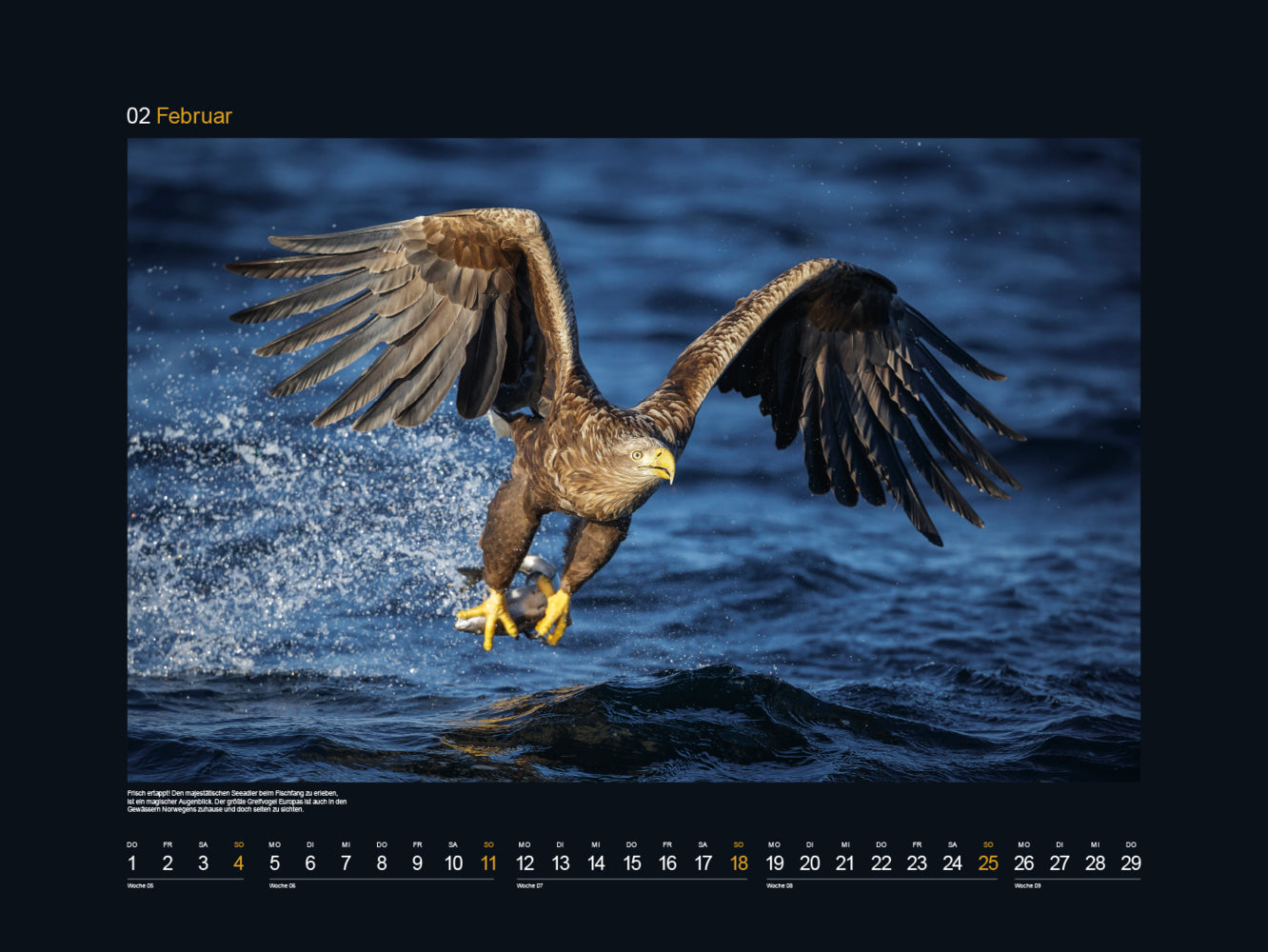 Hurtigruten - Wandkalender 2024 - 60 x 45 cm - Kunth Verlag