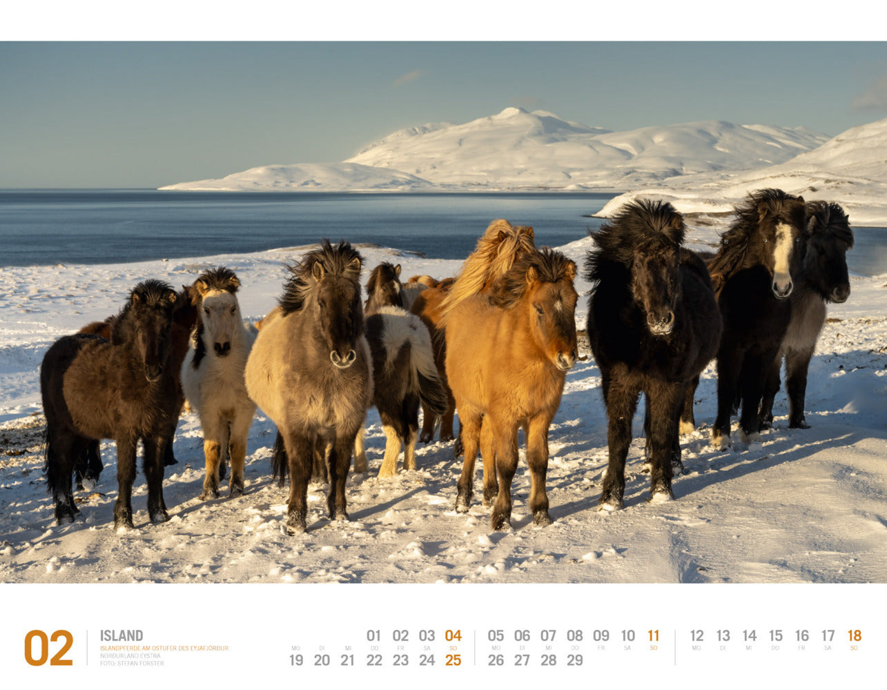 Island - Wandkalender 2024 - 54 x 42 cm - Ackermann Kunstverlag