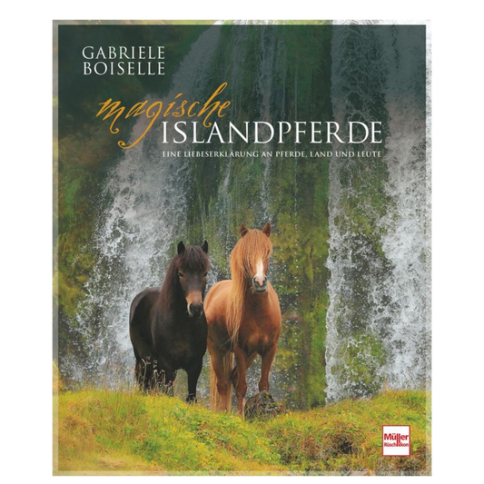 Magische Islandpferde