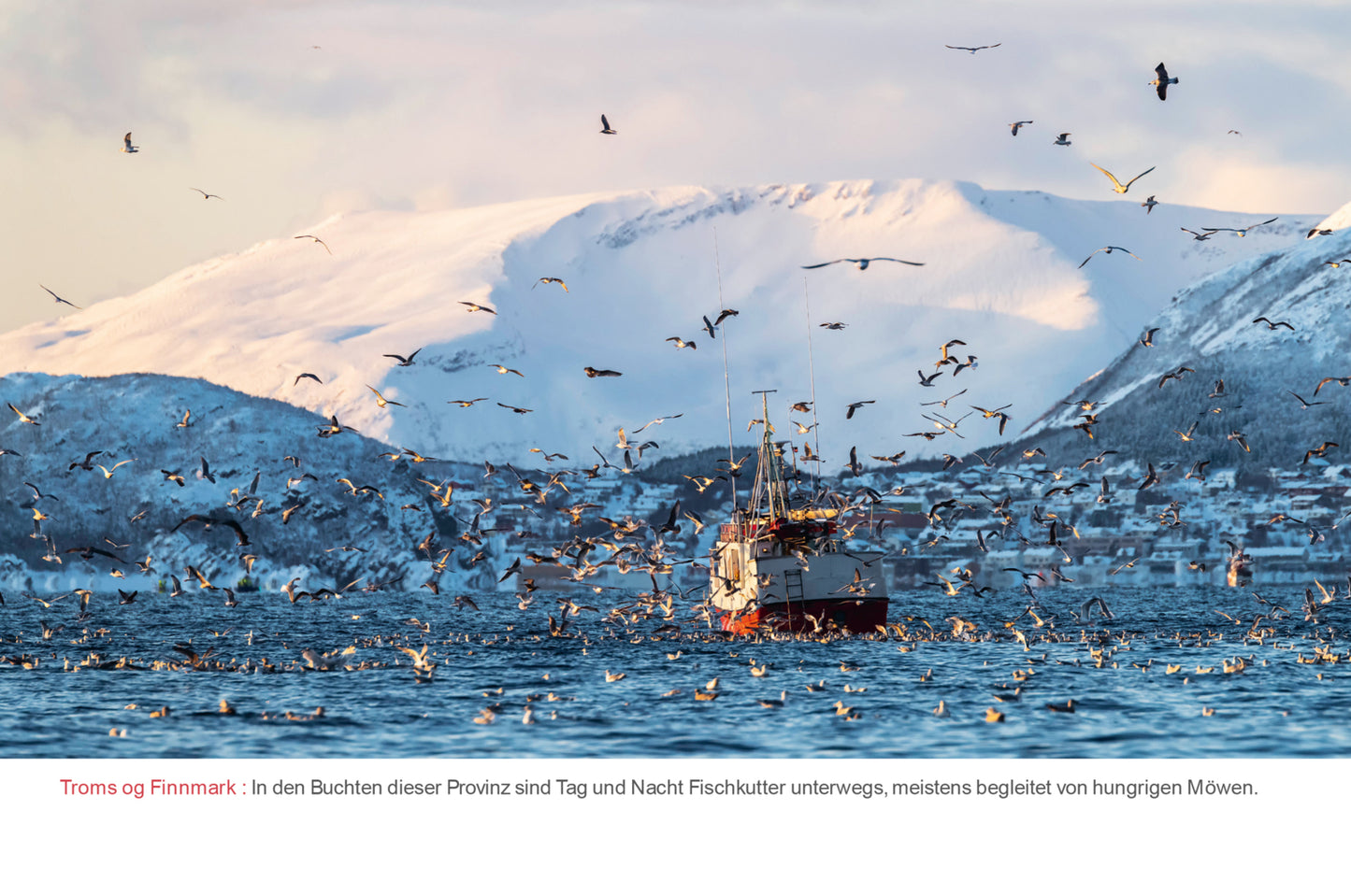 Hurtigruten - Tischkalender 2024 - 24 x 17 cm - Kunth Verlag
