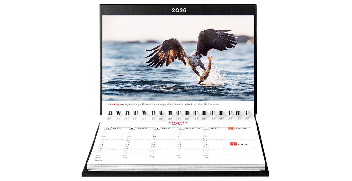 Hurtigruten - Tischkalender 2026 - 24 x 17 cm - Kunth Verlag