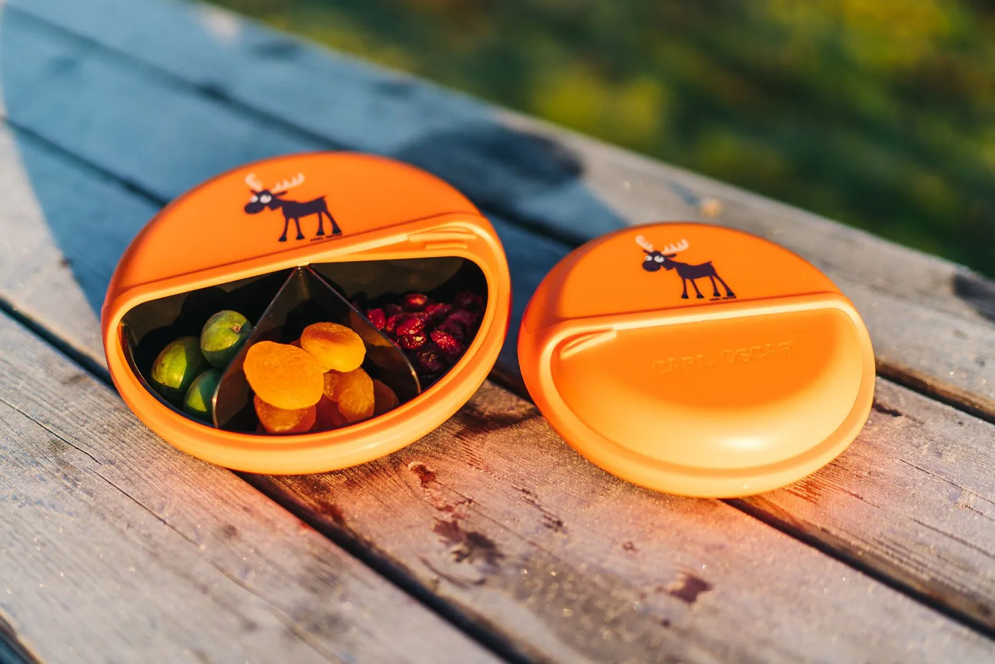Carl Oscar - BentoDISC Lunchbox