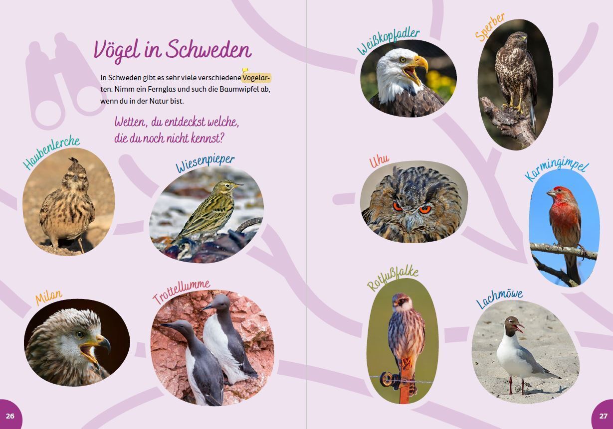 Schweden for kids - Der Kinderreiseführer