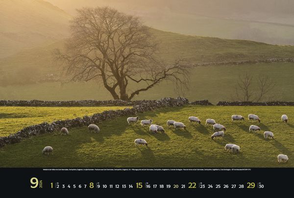Nordische Impressionen - Wandkalender 2024 - 58 x 39 cm - Korsch Verlag