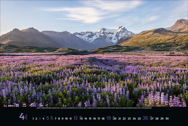Nordic Impressions - Wall Calendar 2026 - 58 x 39 cm - Korsch Verlag