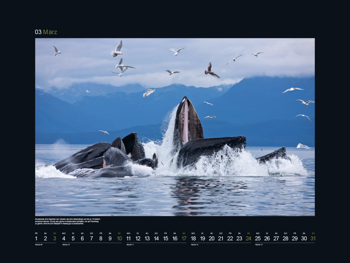 Schönheit des Nordens - Wandkalender 2024 - 60 x 45 cm - Kunth Verlag