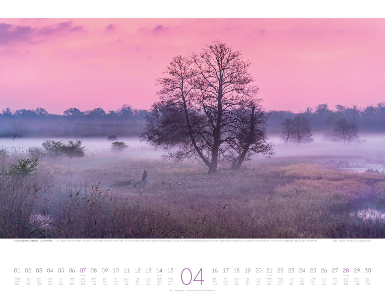 Naturkräfte - Wandkalender 2024 - 54 x 42 cm - Ackermann Kunstverlag