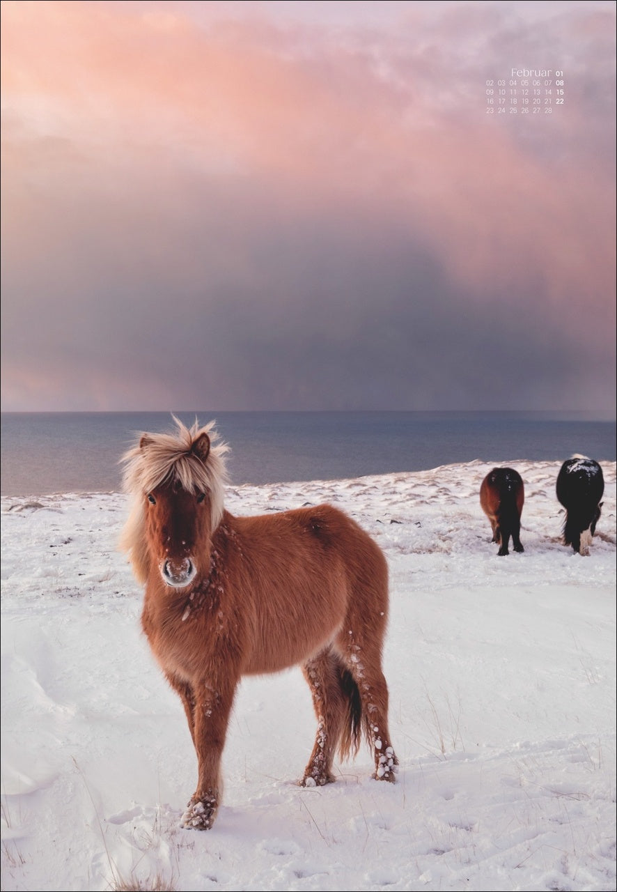 Scandinavian Dreams - Poster-Wandkalender 2026 - 38 x 54 cm - Heye Verlag