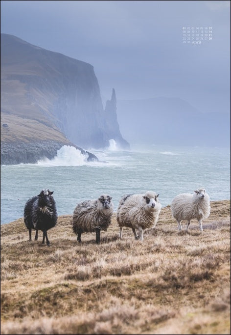 Scandinavian Dreams - Poster-Wandkalender 2024 - 38 x 54 cm - Heye Verlag