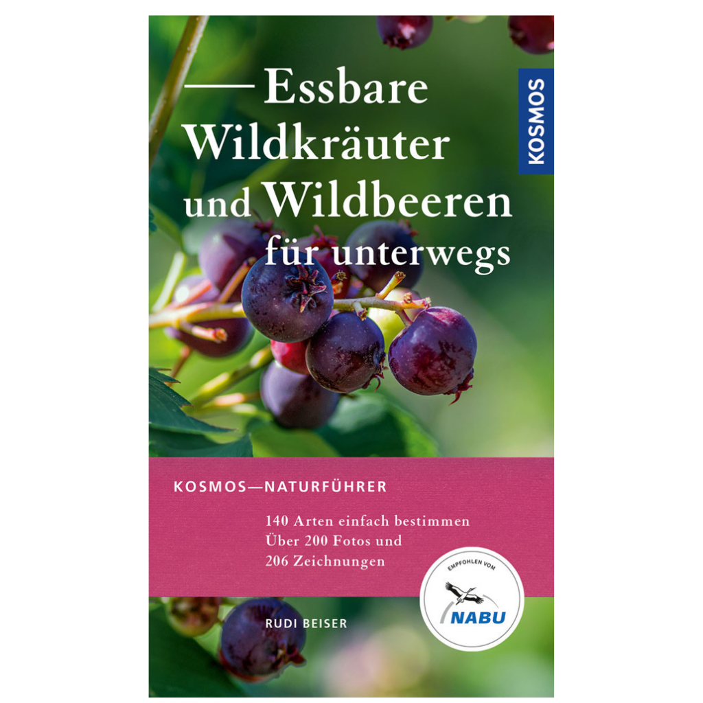 Edible wild herbs and wild berries for on the go