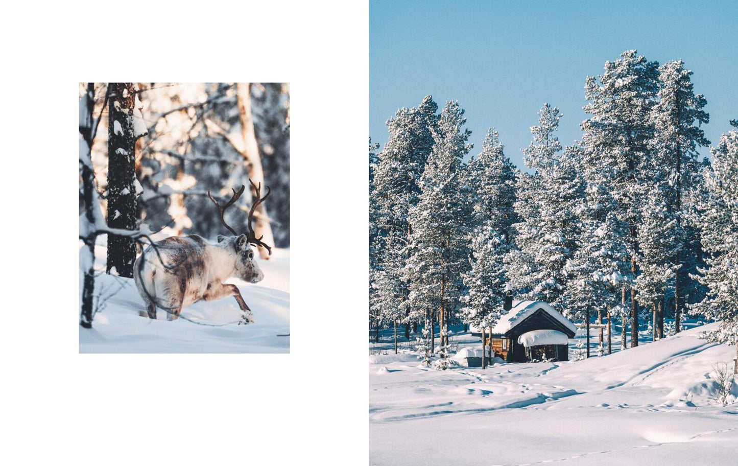 Nordic feeling