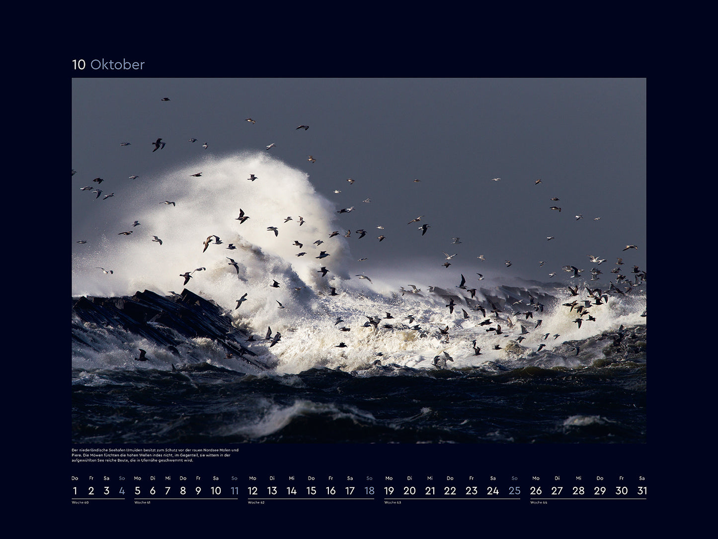 Wilde Nordsee - Wandkalender 2026 - 60 x 45 cm - Kunth Verlag