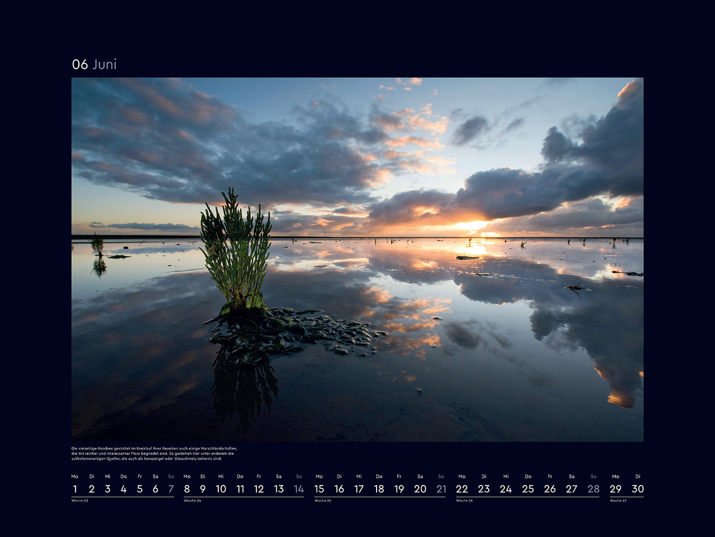 Wilde Nordsee - Wandkalender 2026 - 60 x 45 cm - Kunth Verlag