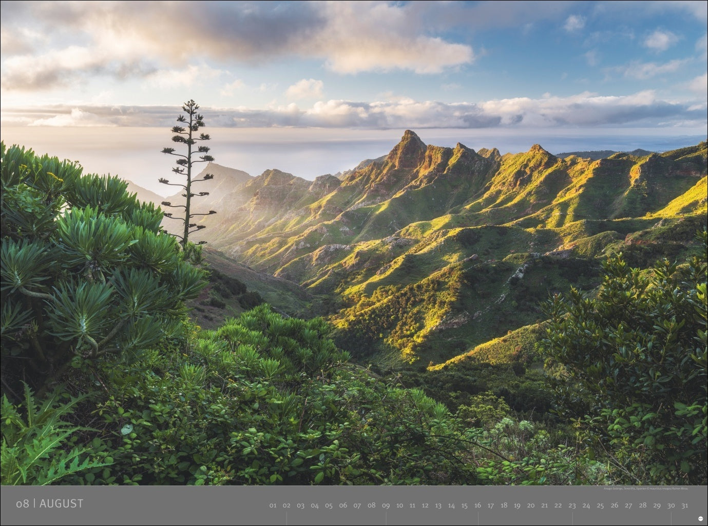 Die letzten Paradiese - Wandkalender 2026 - 78 x 58 cm - Heye Verlag