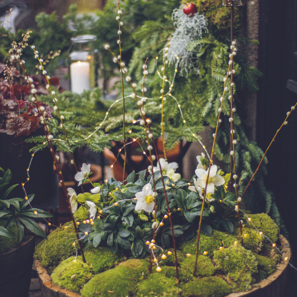 Christmas in Hageby - Lifestyle BusseSeewald