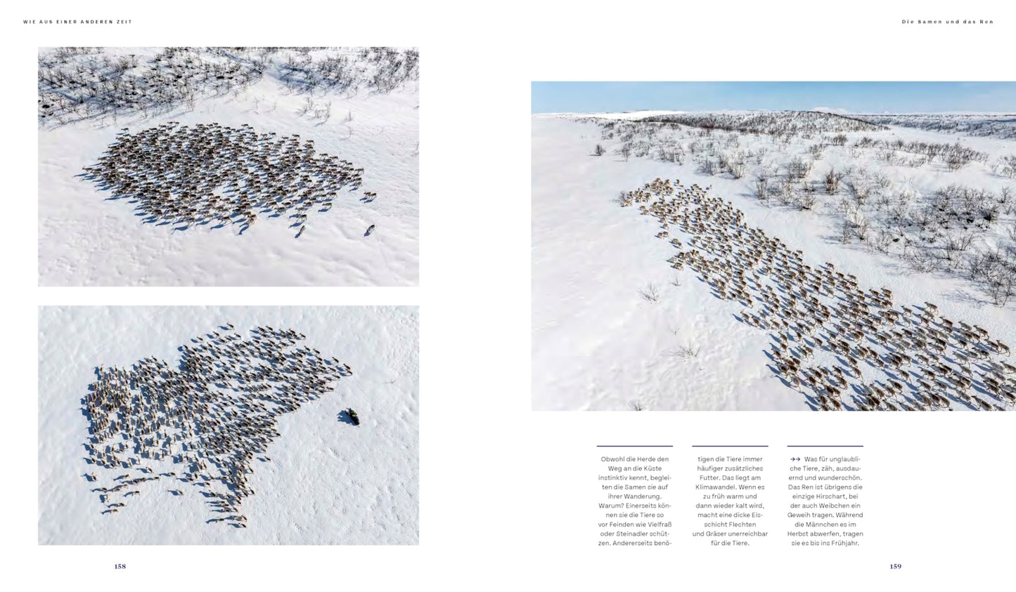 Lapland - Scandinavia's wild north