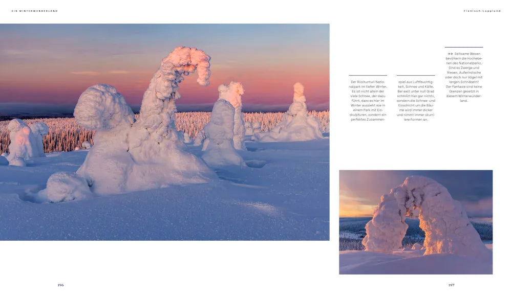 Lapland - Scandinavia's wild north