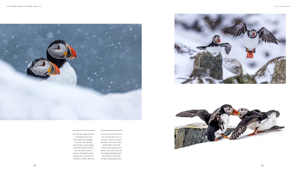 Lapland - Scandinavia's wild north