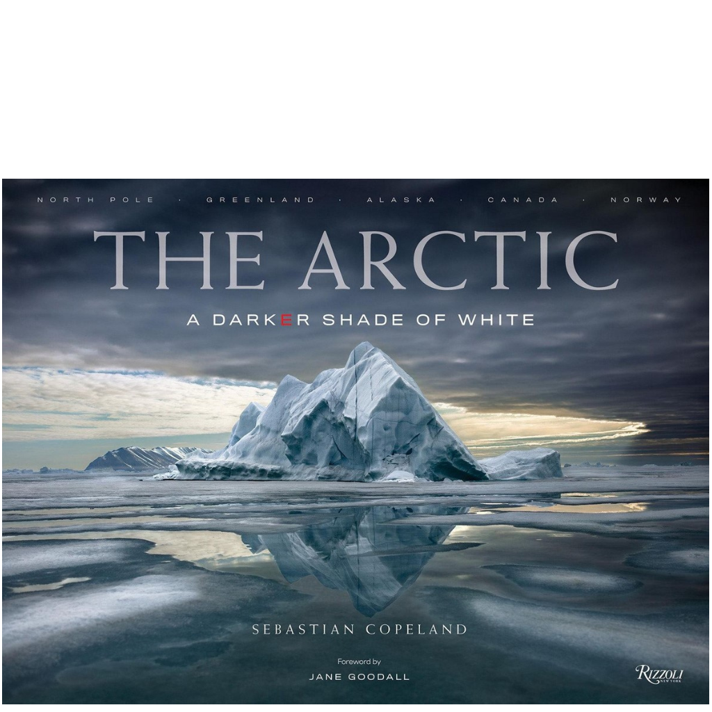 THE ARCTIC - A darker shade of wihite