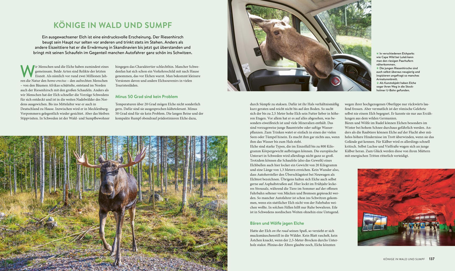 Roadtrips Sweden - Travel photo book