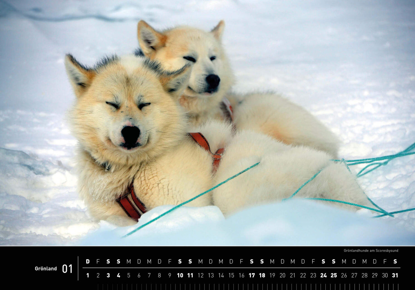 Grönland - 360° Premium-Wandkalender 2026 - 50 x 35 cm - 360Grad Medien