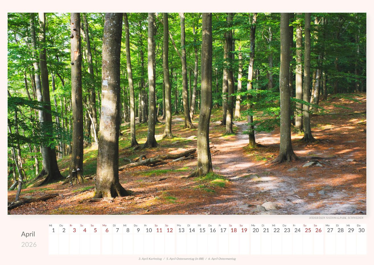 Nordic National Parks - Wall Calendar 2026 - 59 x 42 cm - Trabandt Medien