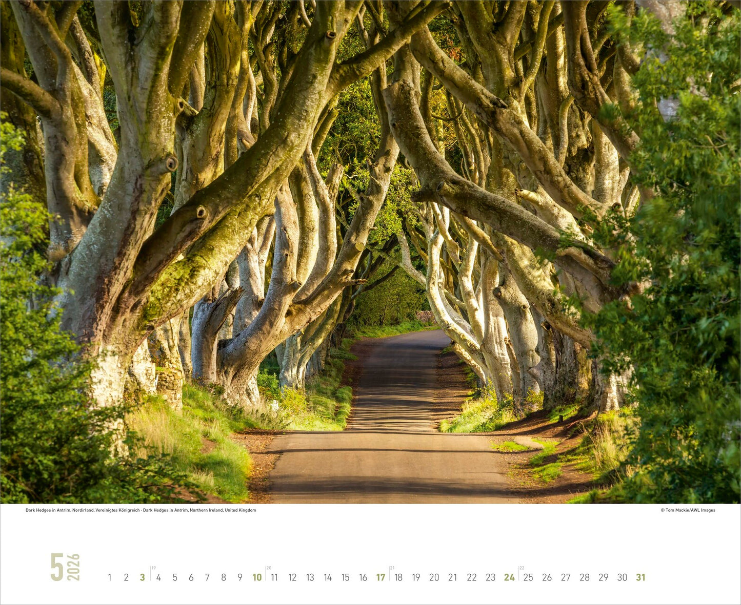 Nordische Impressionen - Wandkalender 2026 - 52 x 43 cm - Alpha Edition