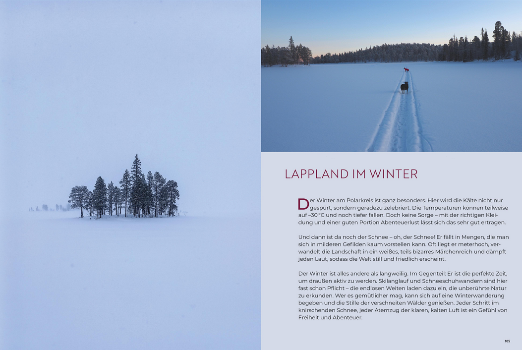 Weihnachtenszeit in Lappland