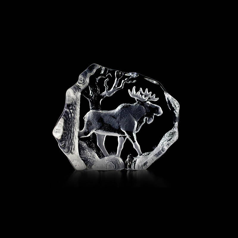 Glasblock Elchbulle - 150 x 130 mm
