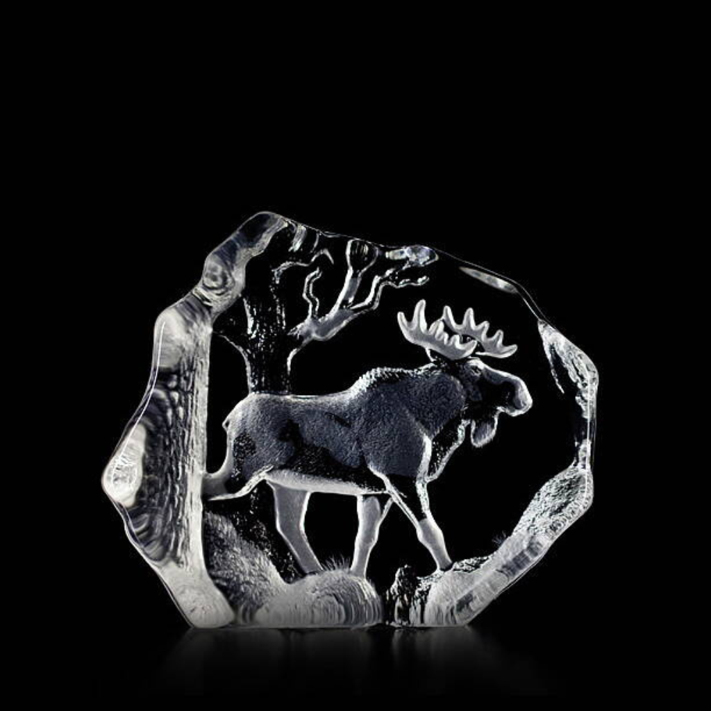 Glasblock Elchbulle - 150 x 130 mm