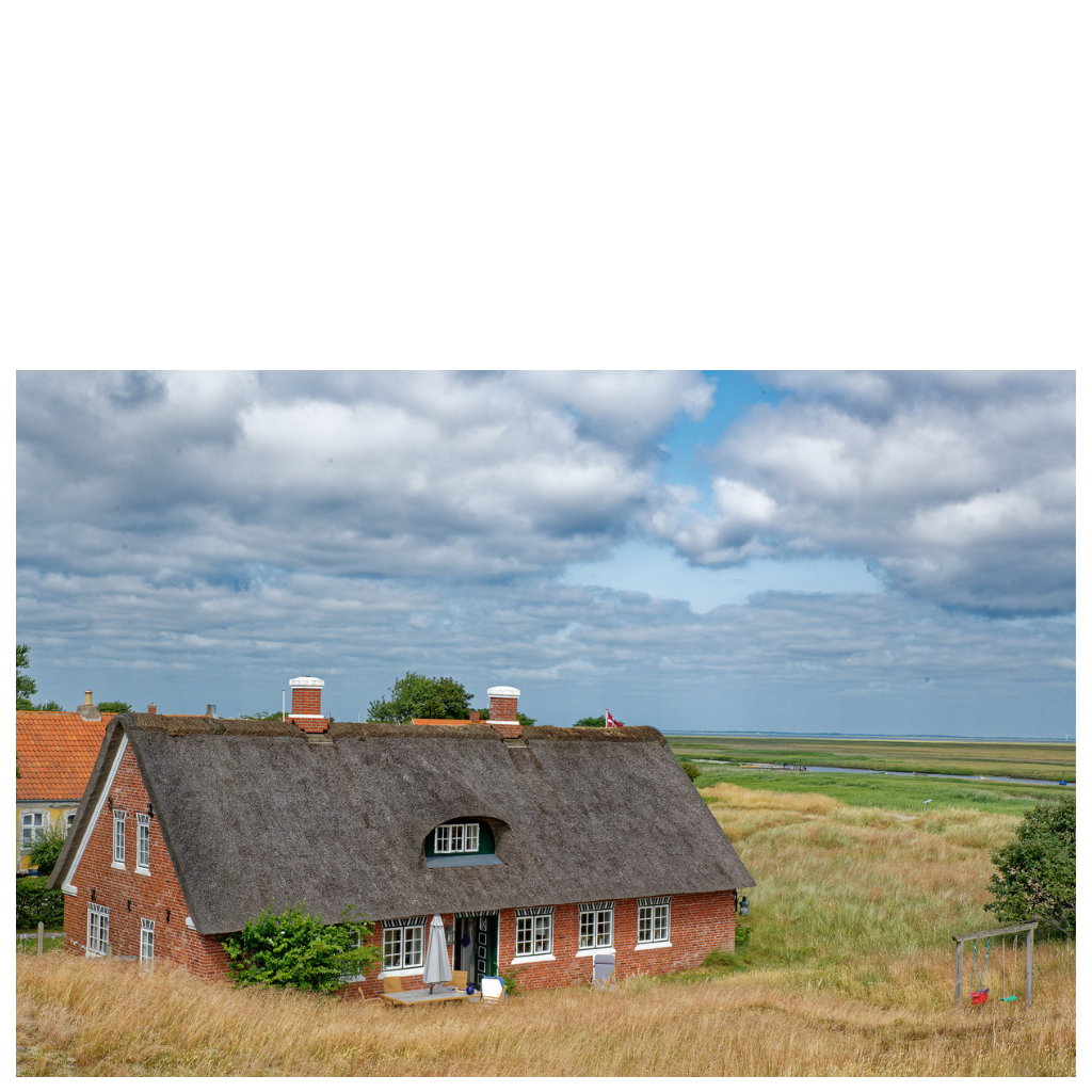 Poster Ferienhaus in den Dünen von Fanø - Jütland