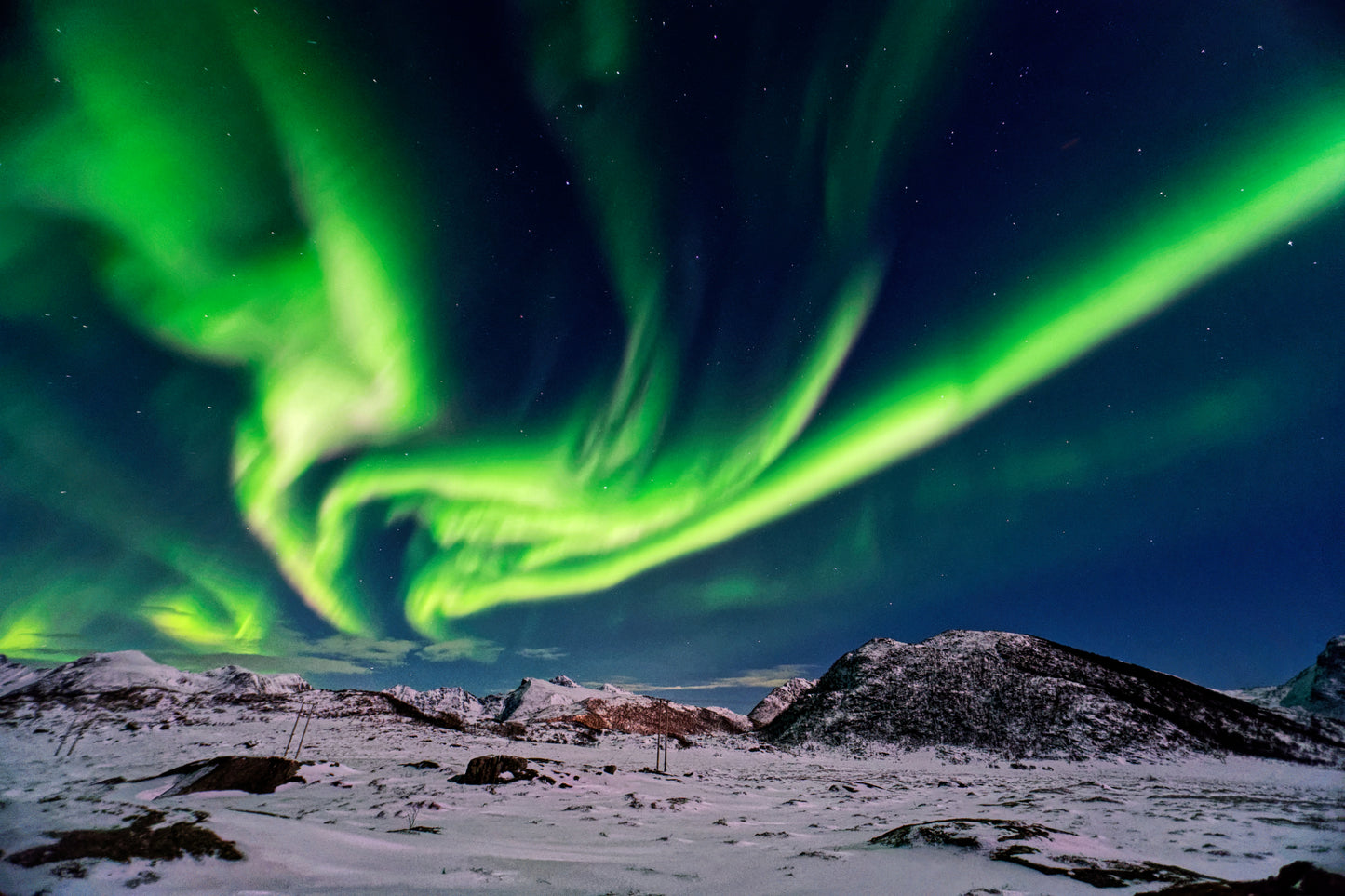 Poster Polarlicht über Gimsøya - Lofoten