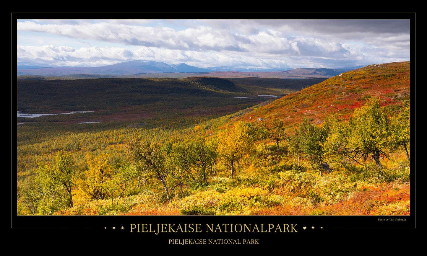 Pieljekaise valley view - Poster 97 x 57 cm