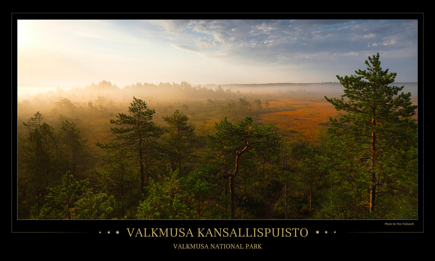 Valkmusa morning fog - Poster 97 x 57 cm