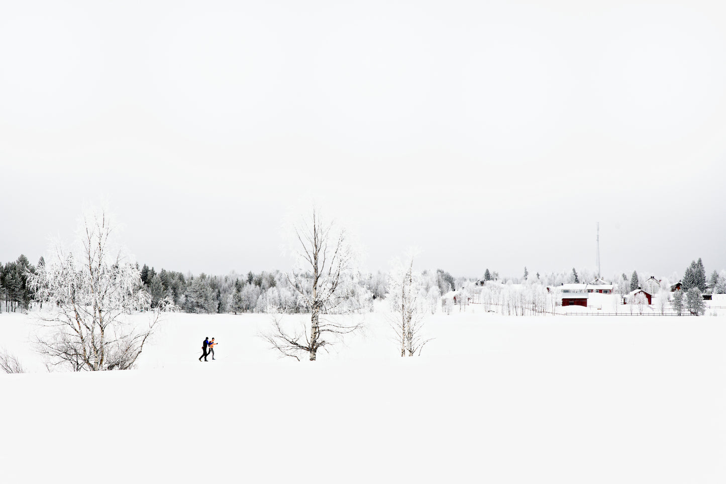 Poster Finnish winter landscape with two cross-country skiers