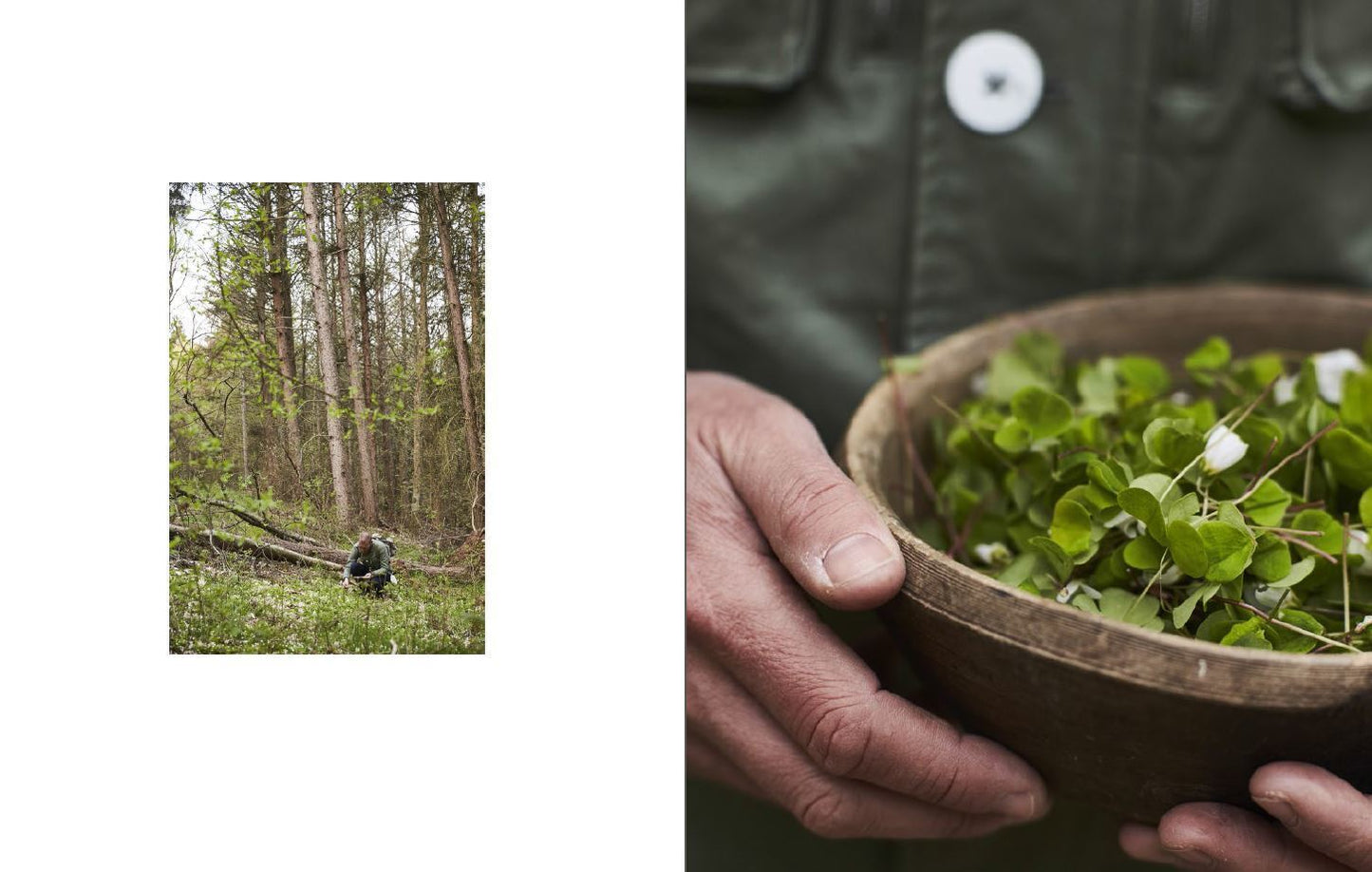 Evergreen: The Nordic Vegetable Kitchen - Cookbook
