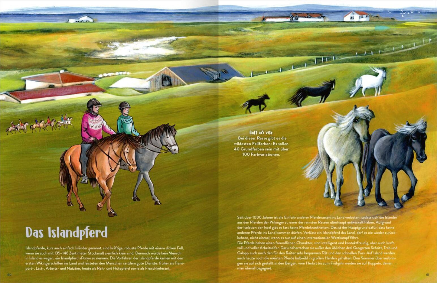 Island - Illustriertes Kinderbuch