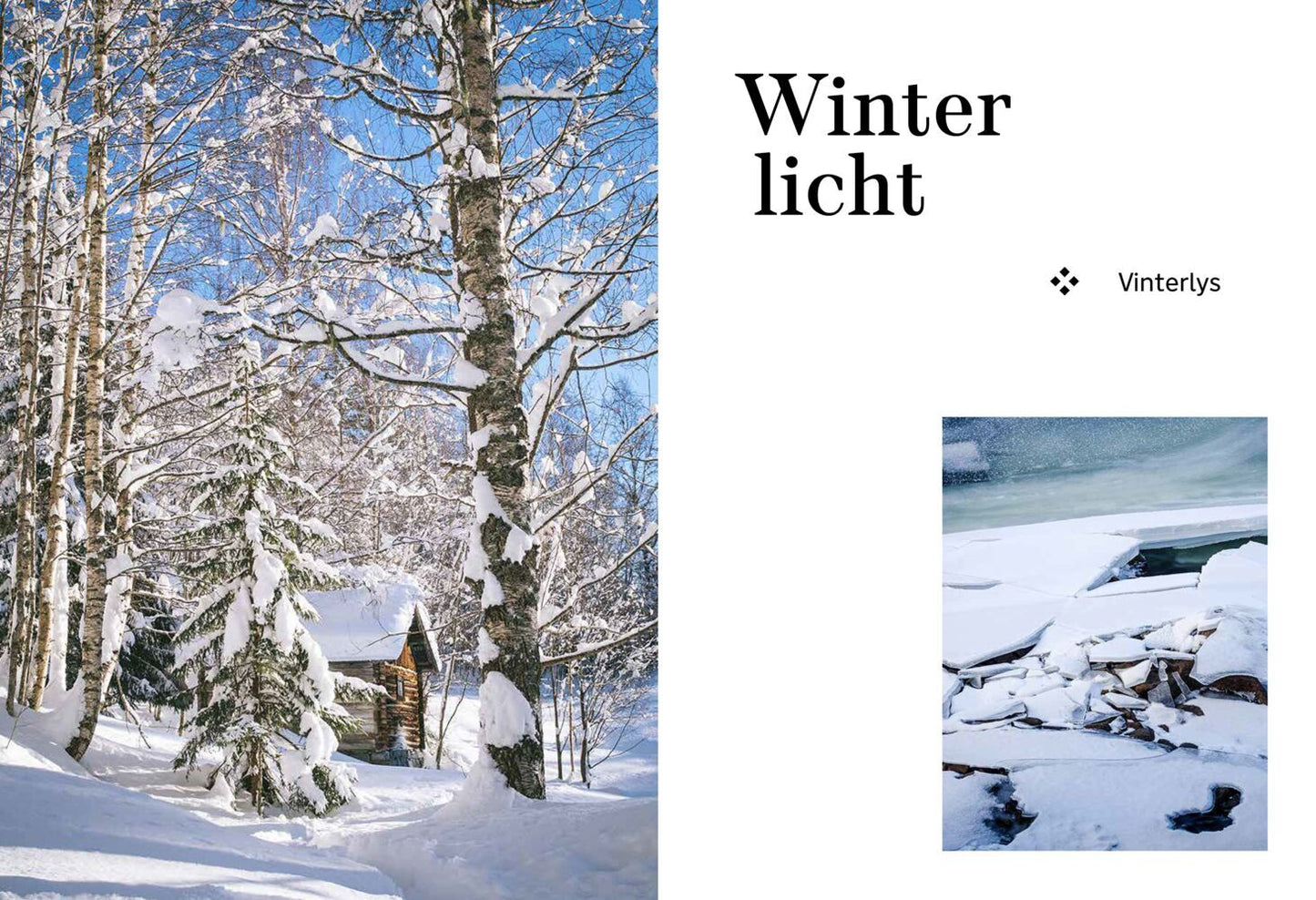 Das Norwegen-Backbuch