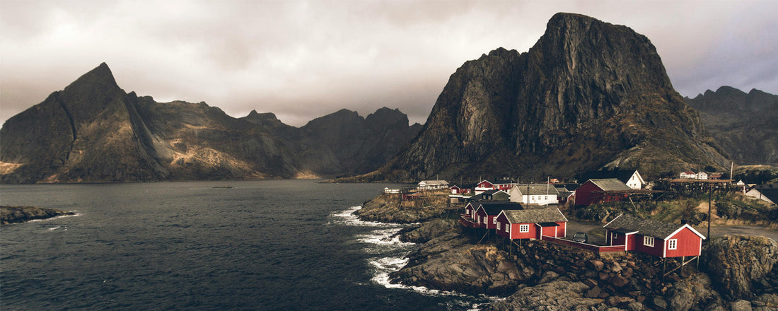 Blick auf einen norwegischen Fjord mit roten Holzhäusern am Ufer
